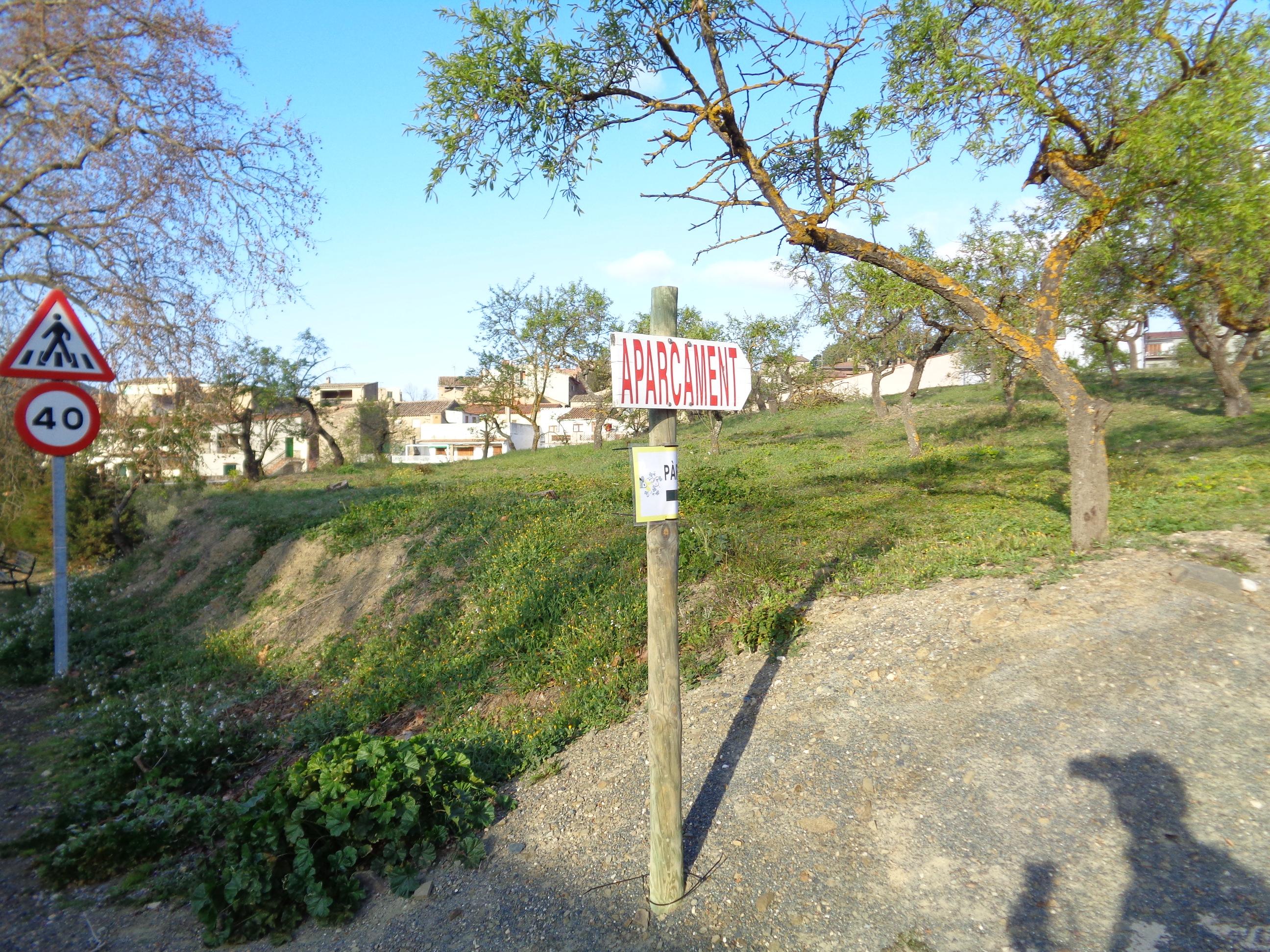 DSC00016
