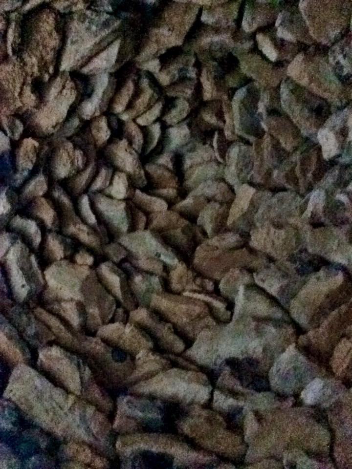 12316548_473251752799833_1416489468919161402_n